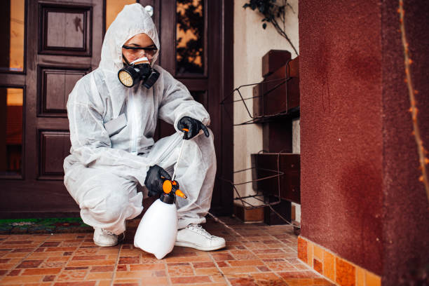Reliable Wasp Removal contractor in Freeport, IL by Show Me Pest Control